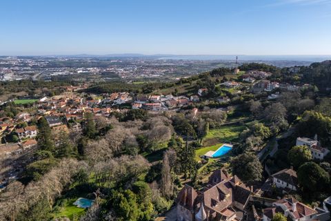 Landsbyhus i Sintra, Lisbon, Sintra - € 16.500.000 | Ref: W-02WJ84 - foto 37